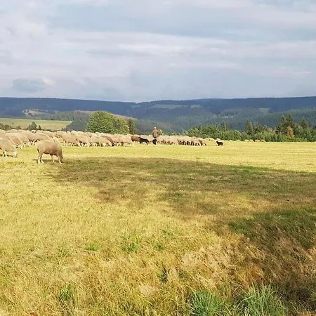 Apartmán Relaxing Escape With Terrace *