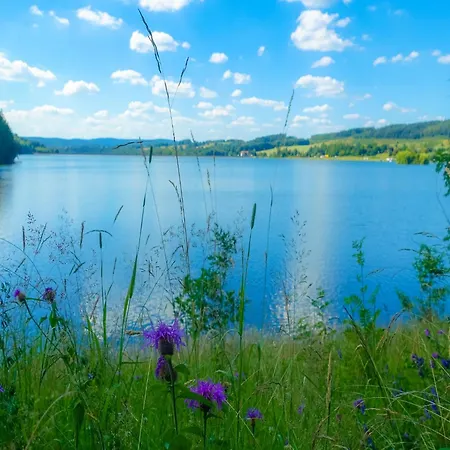 Relaxing Escape With Terrace *