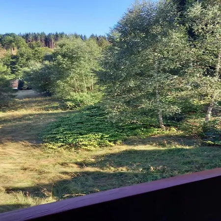 Relaxing Escape With Terrace Apartment Schleusegrund