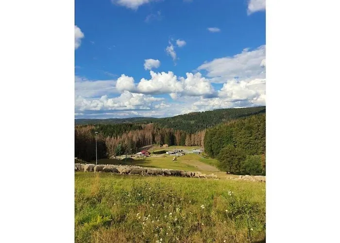 Relaxing Escape With Terrace Schönbrunn