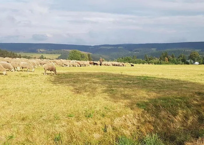 Appartement Relaxing Escape With Terrace *