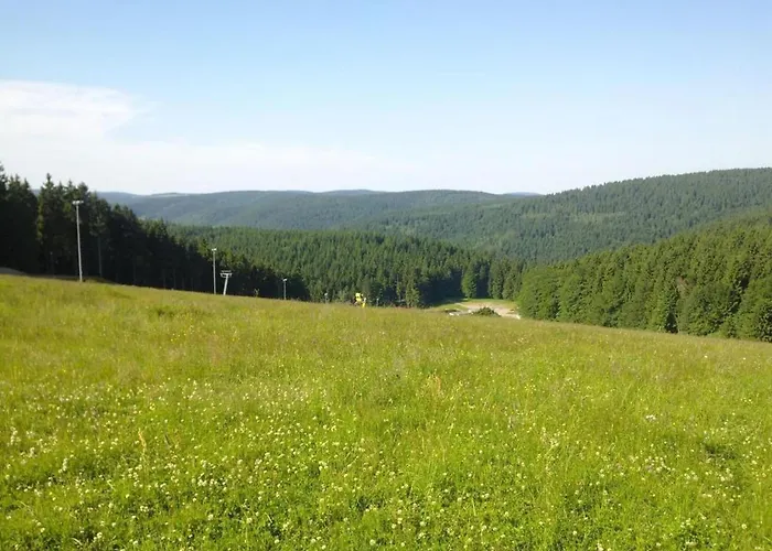 Appartement Relaxing Escape With Terrace