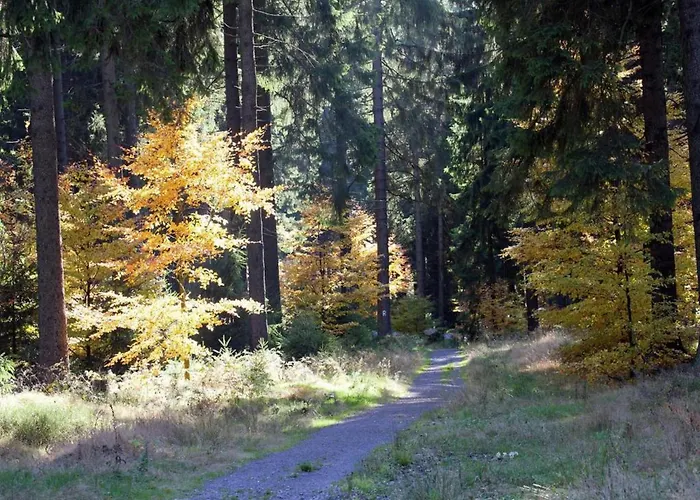 Relaxing Escape With Terrace * Schönbrunn