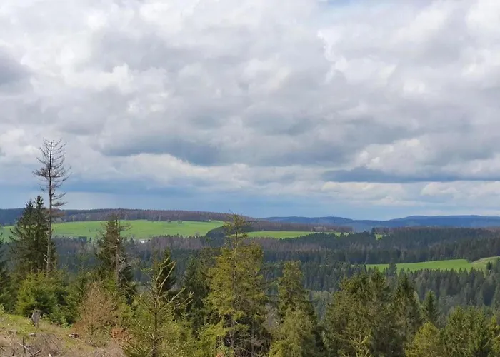 Relaxing Escape With Terrace Appartement Schönbrunn